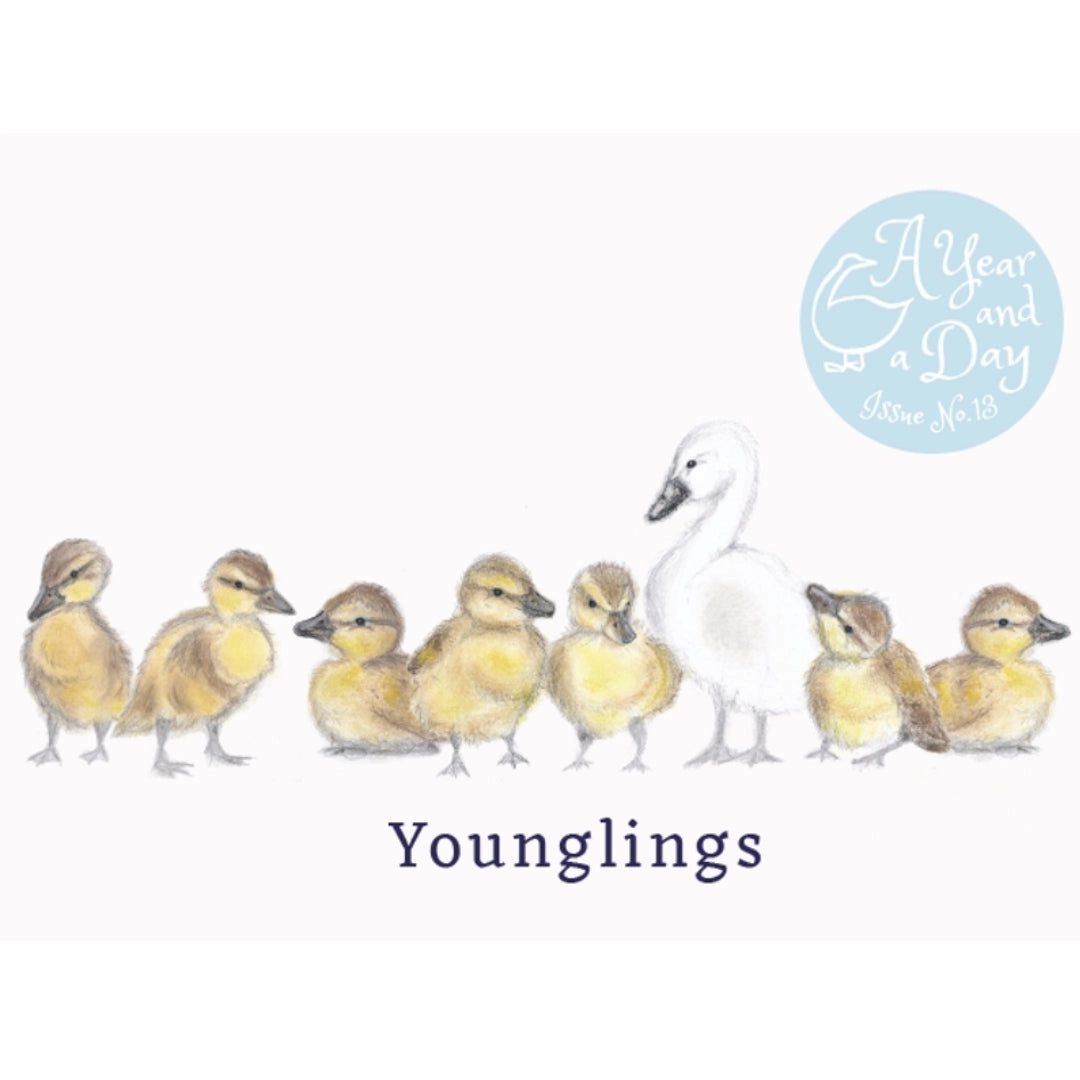 A Year and a Day Magazine - Issue 13: Spring 2023