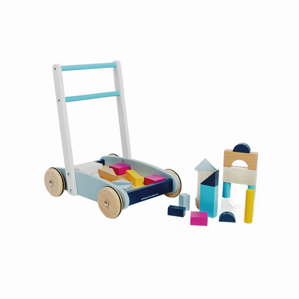 Baby Walker with Bricks