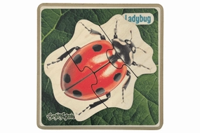Beginner Insect Puzzles