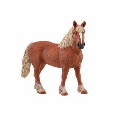 Belgian Draft Horse