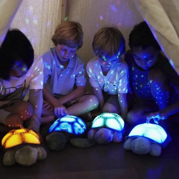 Cloud b Twilight Ocean Projector - Turtle Purple Night Light Soother