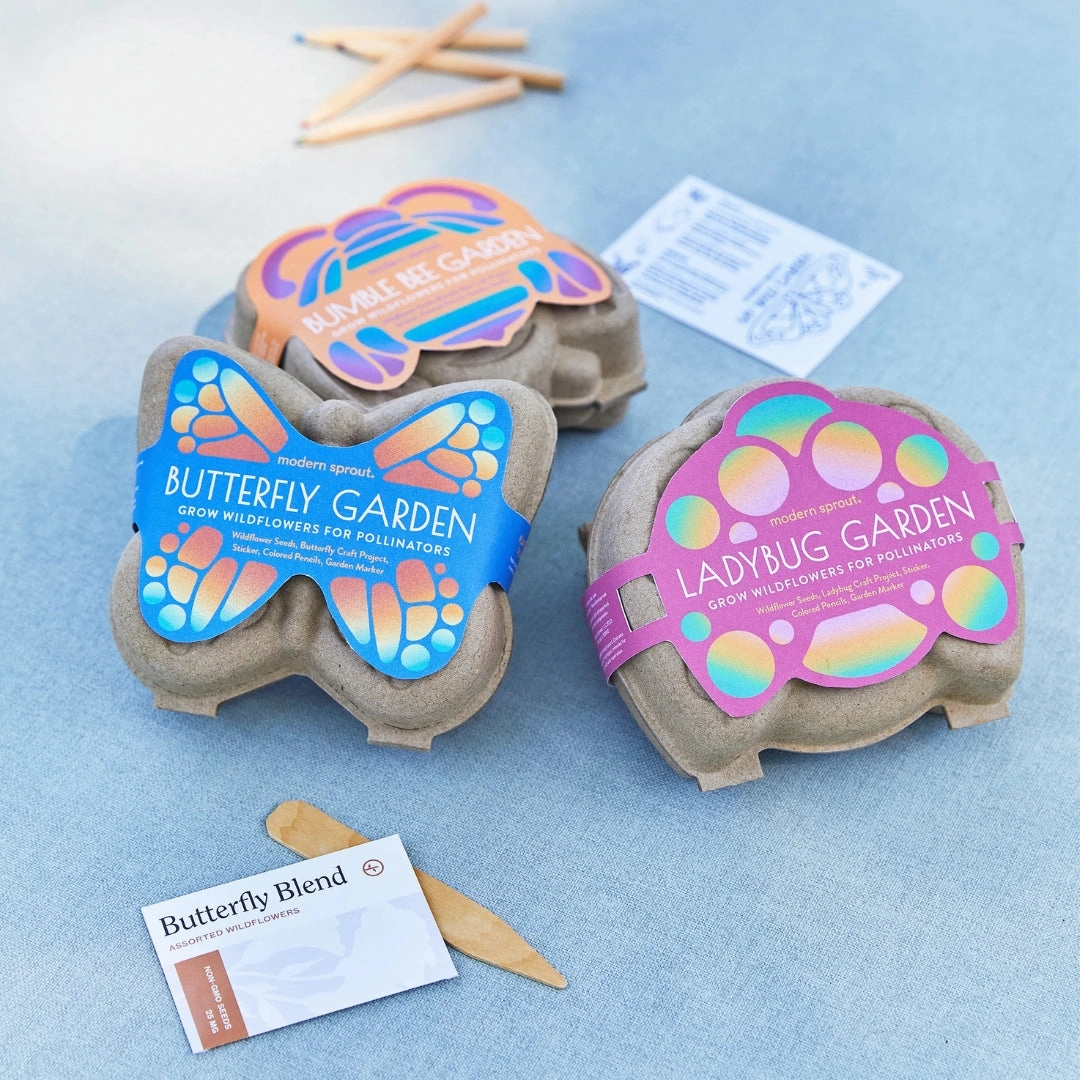 Curious Critter Ladybug Garden Kit