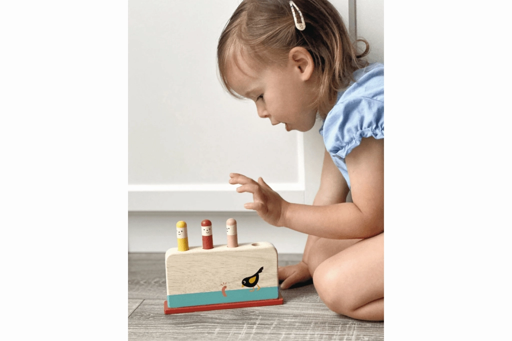 Early Bird Pop Up Toy