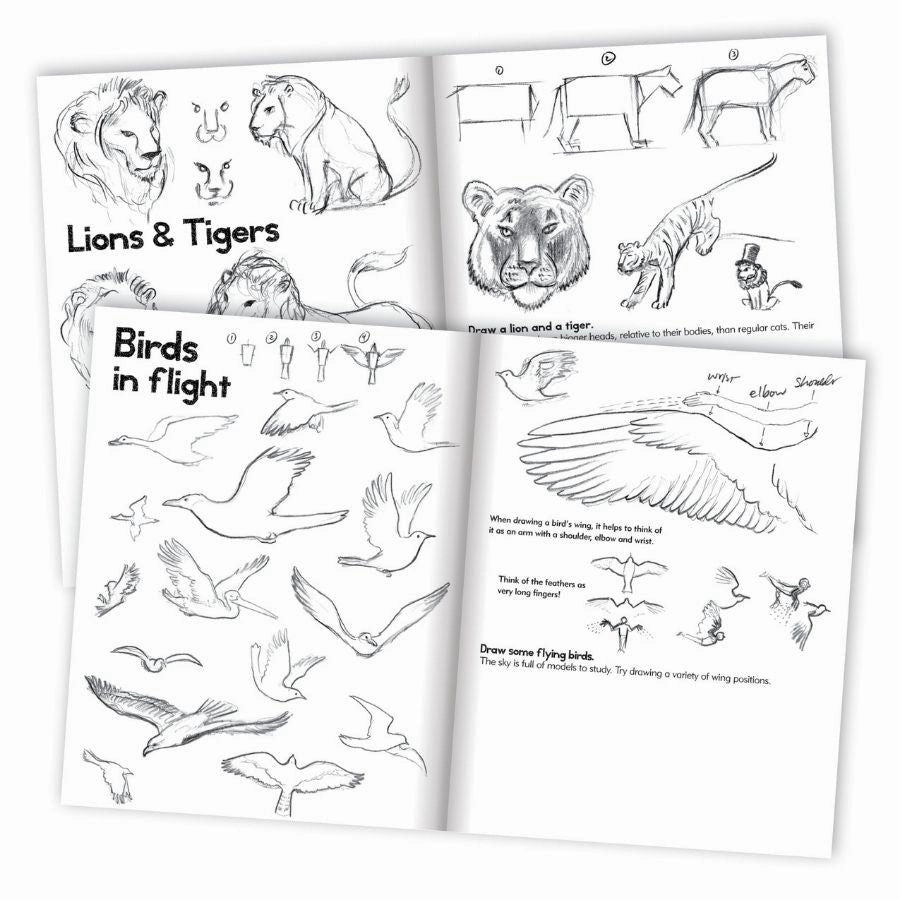 eeBoo - Learn to Draw Animals Book with Kevin Hawkes