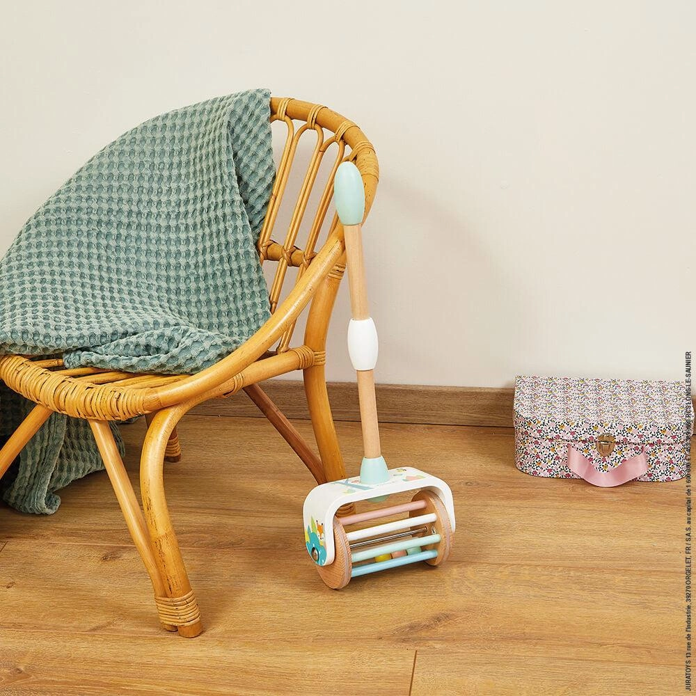 Janod Pure Push-Along Toy