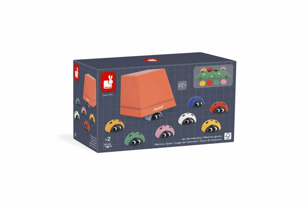 Ladybug Memory Game