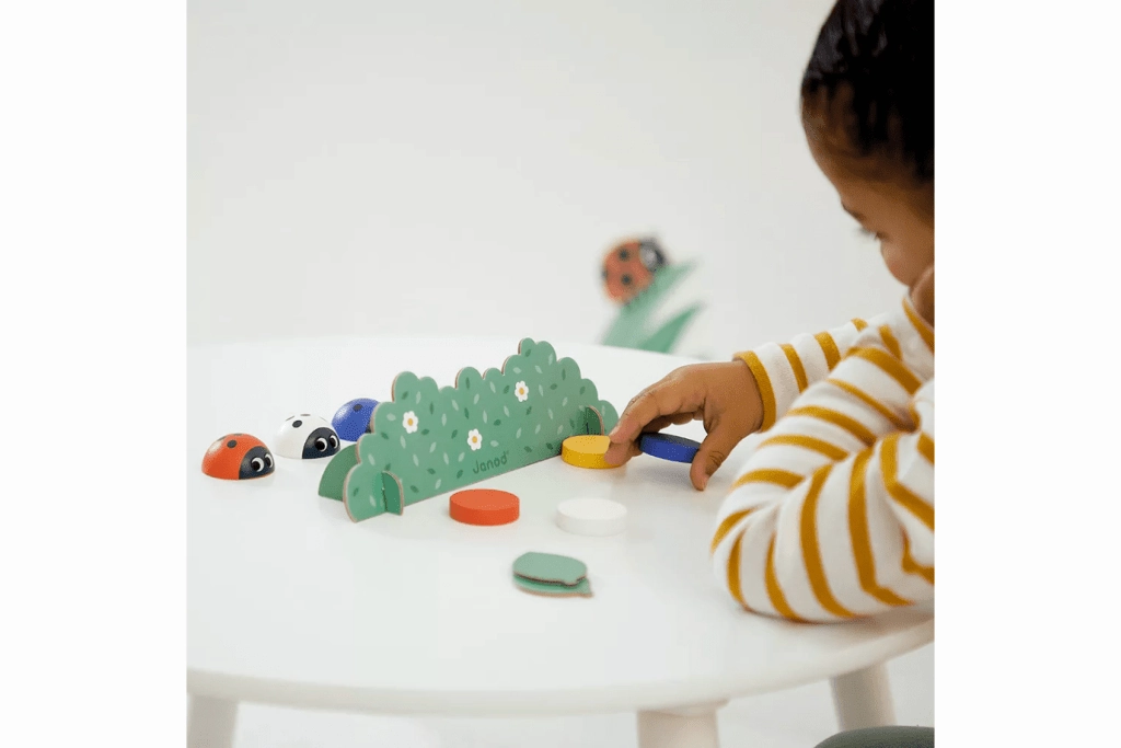 Ladybug Memory Game