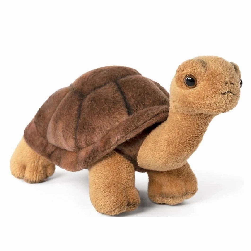 LIVING NATURE Tortoise Soft Toy 23cm