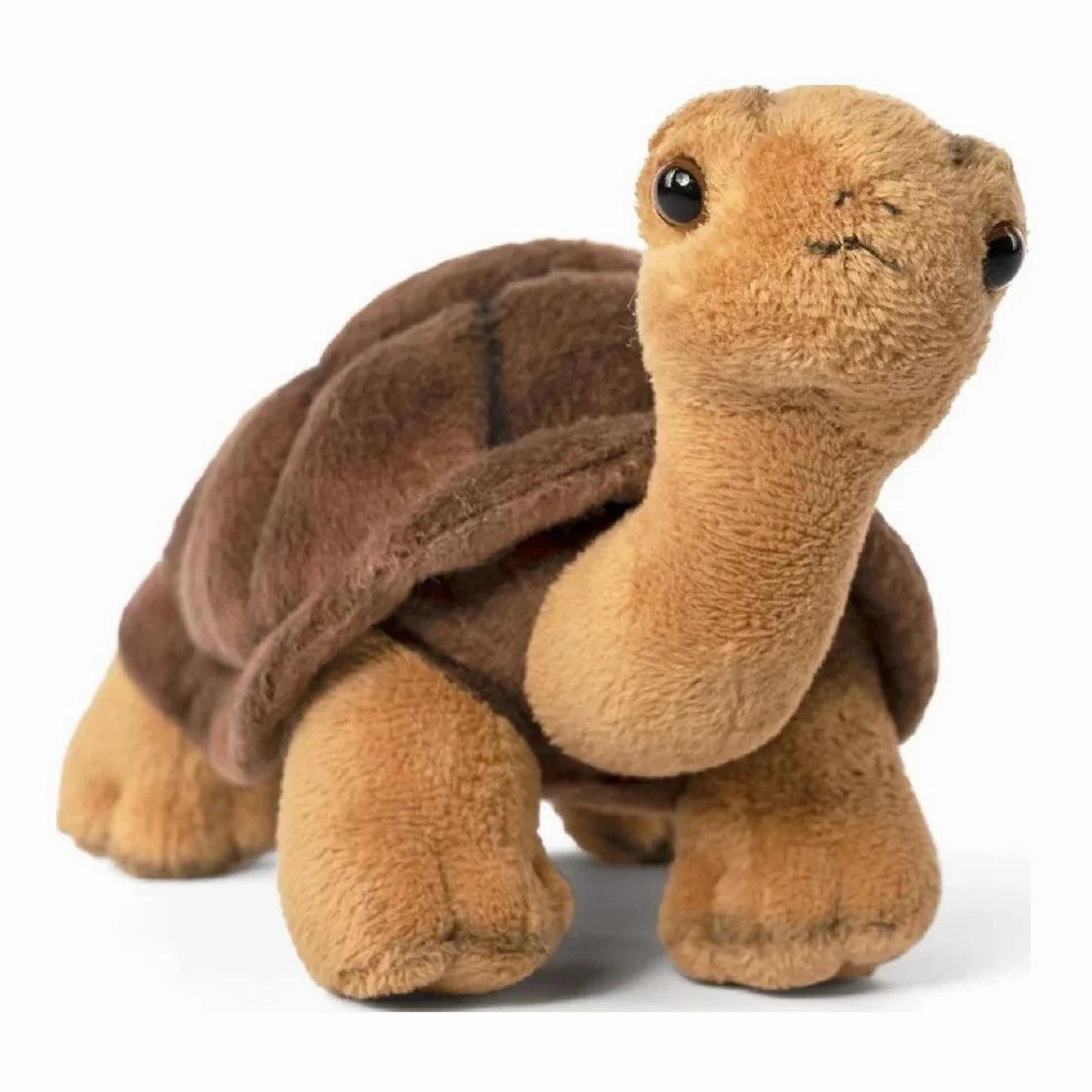 LIVING NATURE Tortoise Soft Toy 23cm