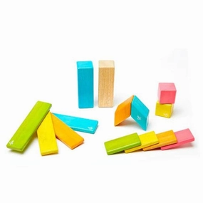 Magnetic Wooden Blocks - 14 Piece Set Tints