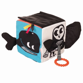 Manhattan Toy Company - Wimmer Ferguson Learning Cube