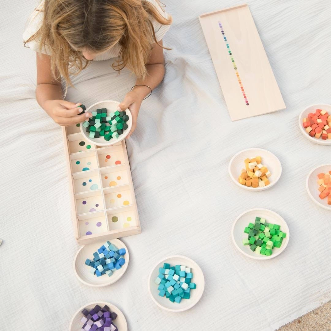 Mis & Match Wooden Sorting Set