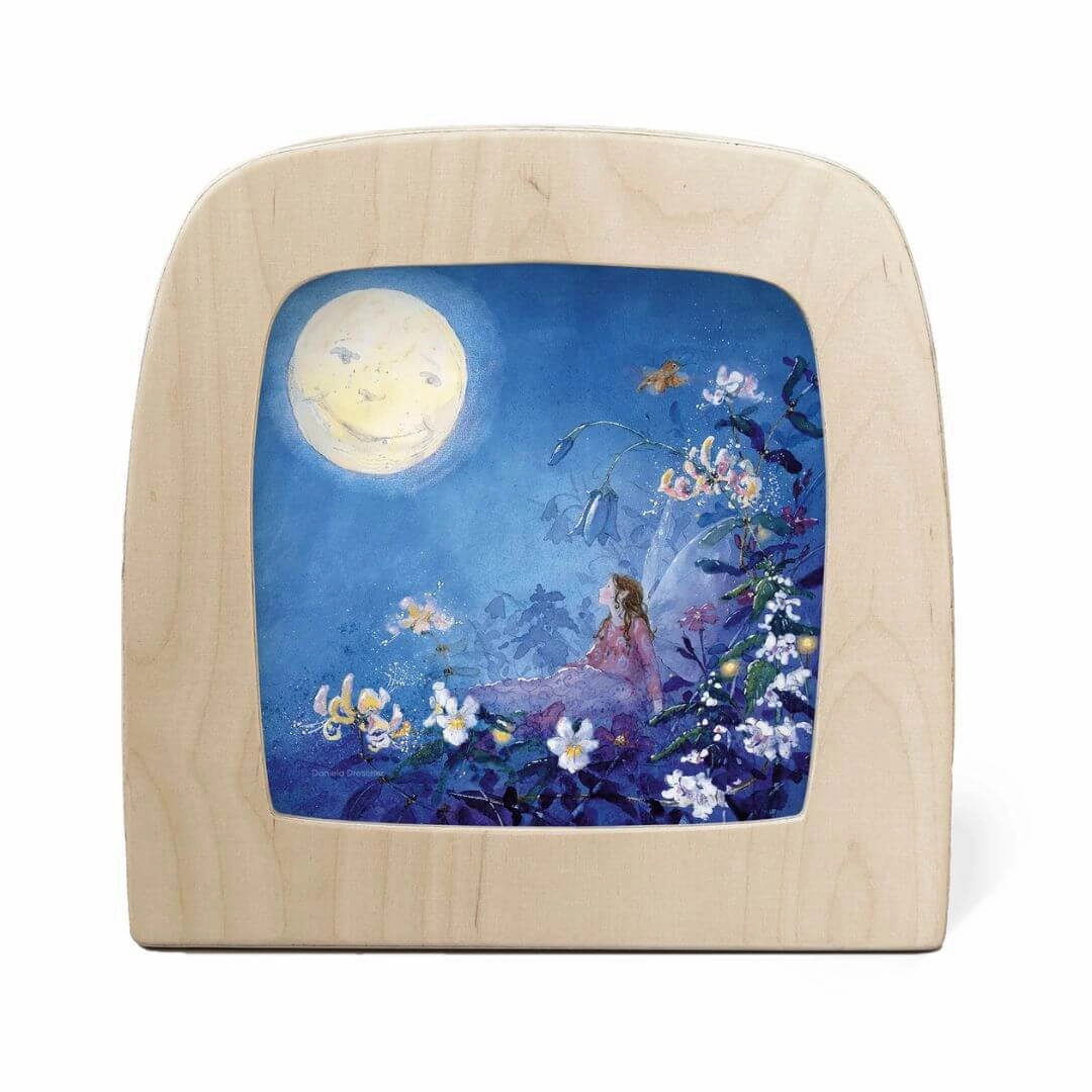 Night Light Transparency Set - Little Fairy Can't Sleep
