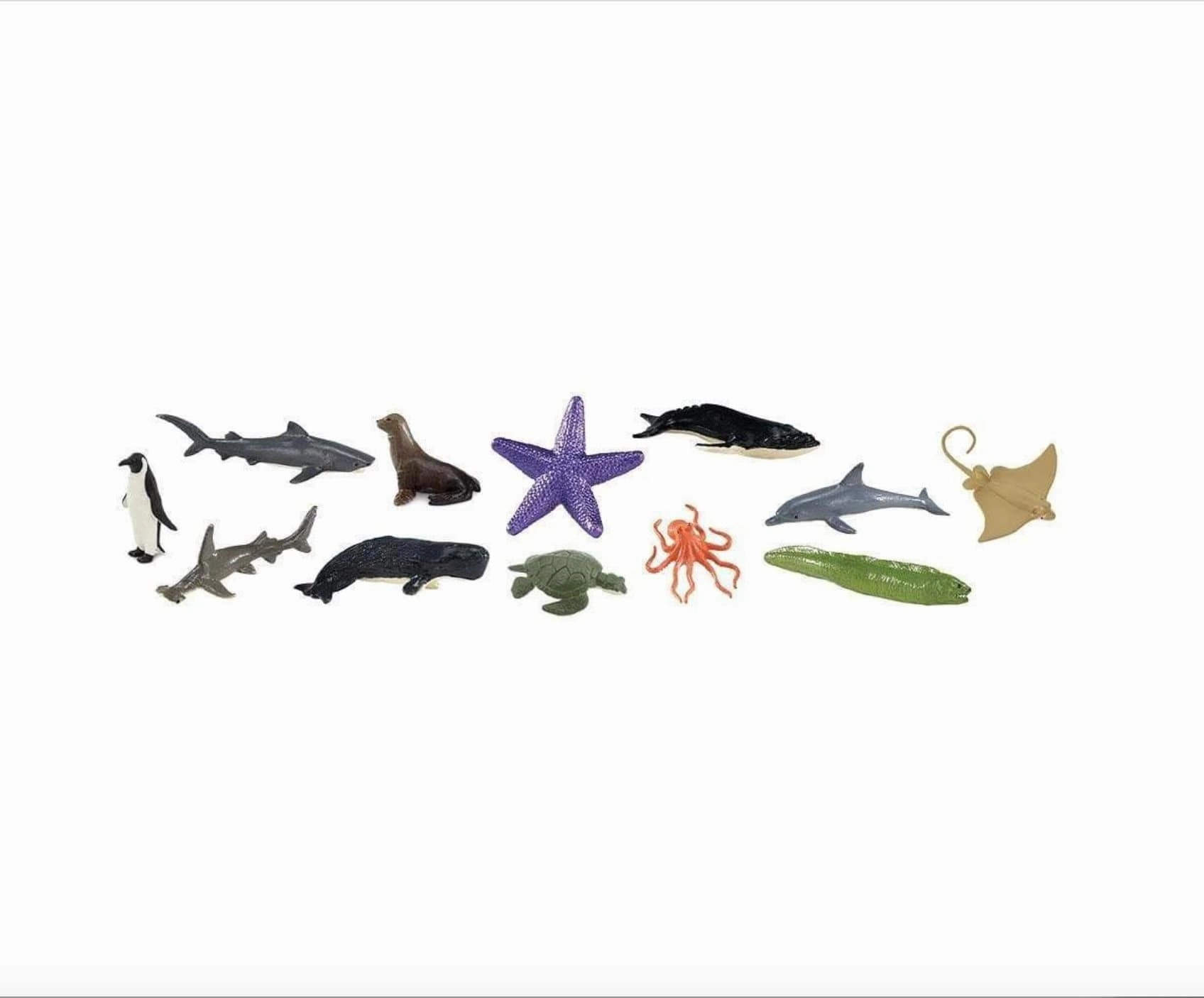 Ocean Toob