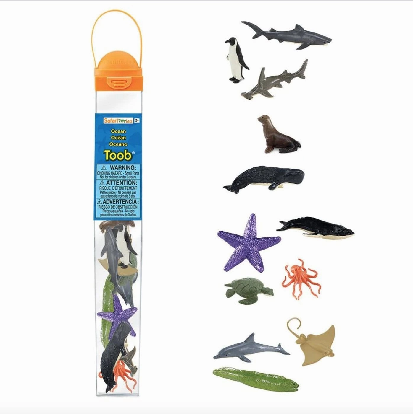 Ocean Toob