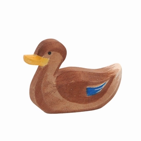 Ostheimer Duck, Swimming