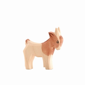 Ostheimer Goat Kid, Standing