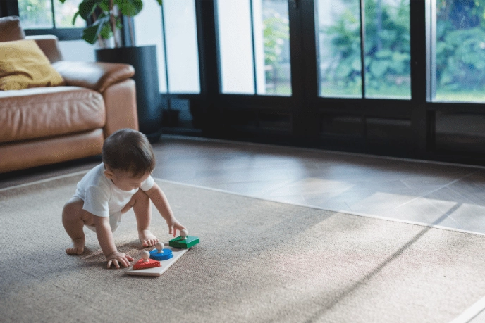 Plan Toys Shape Matching Puzzle