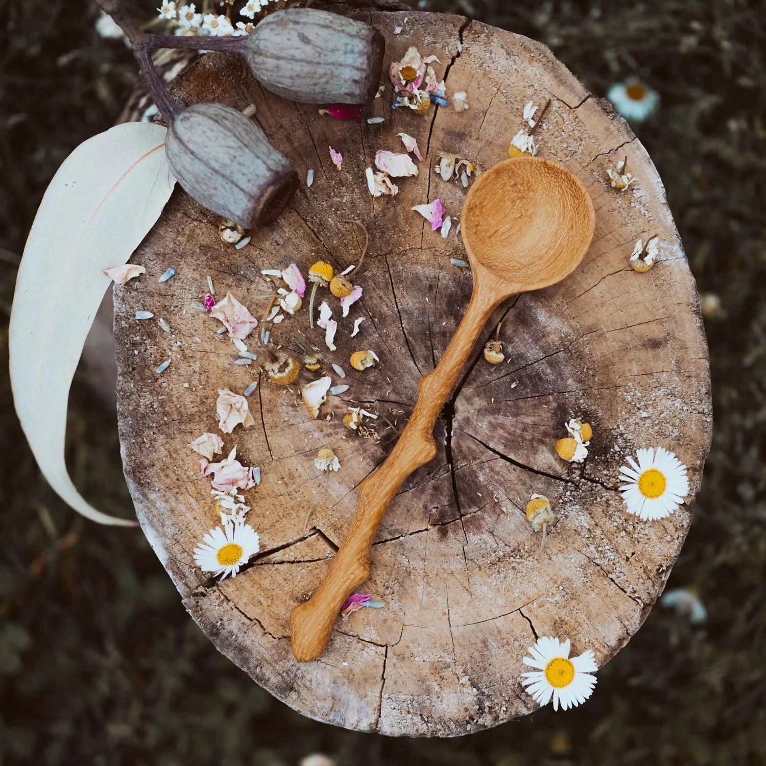 Pre-Order Wild Mountain Child Branch Spoon (Ships at the end of June)