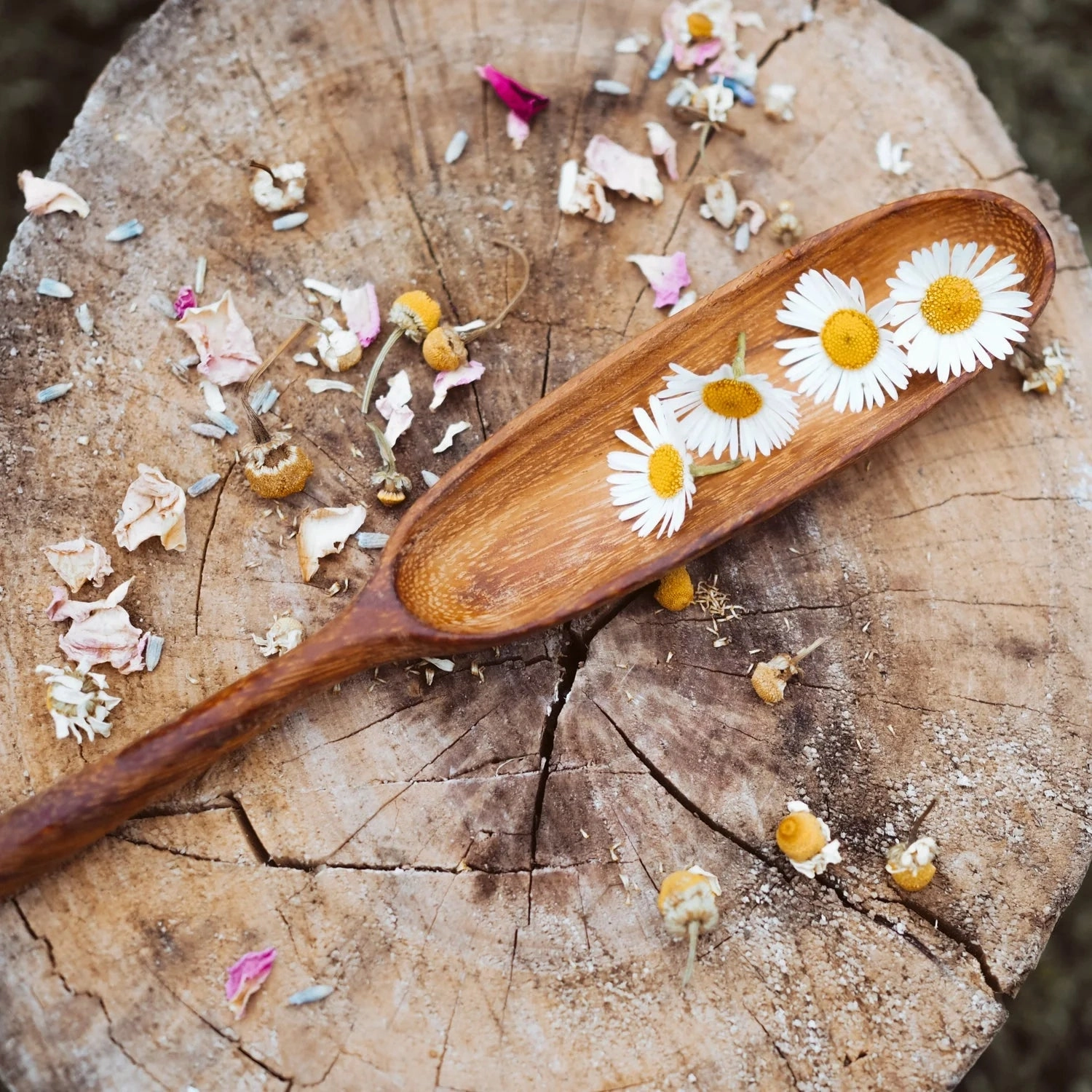 Pre-Order Wild Mountain Child Handcrafted Paddle Spoon (Ships at the end of June)