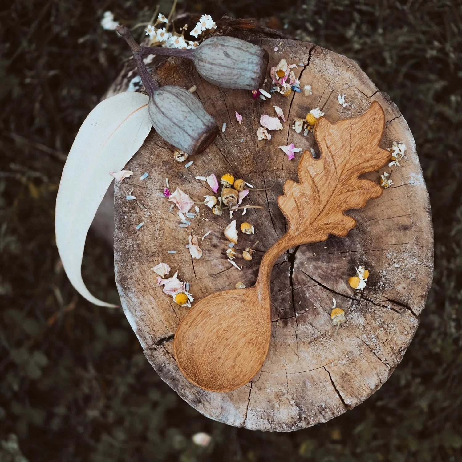 Pre-Order Wild Mountain Child Leaf Spoon (Ships at the end of June)