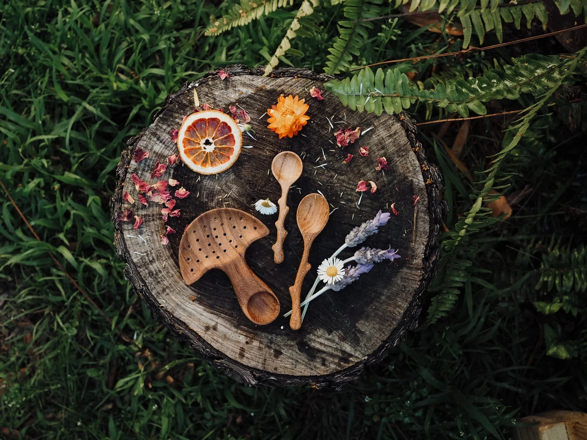Pre-Order Wild Mountain Child Mushroom Multi Tool (Ships at the end of June)