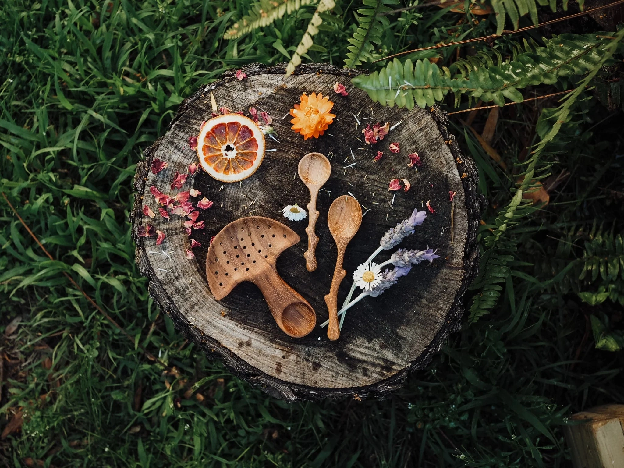 Pre-Order Wild Mountain Child Mushroom Multi Tool (Ships at the end of June)