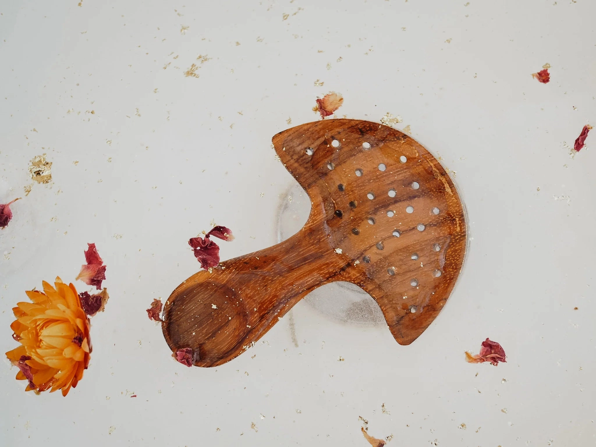 Pre-Order Wild Mountain Child Mushroom Multi Tool (Ships at the end of June)