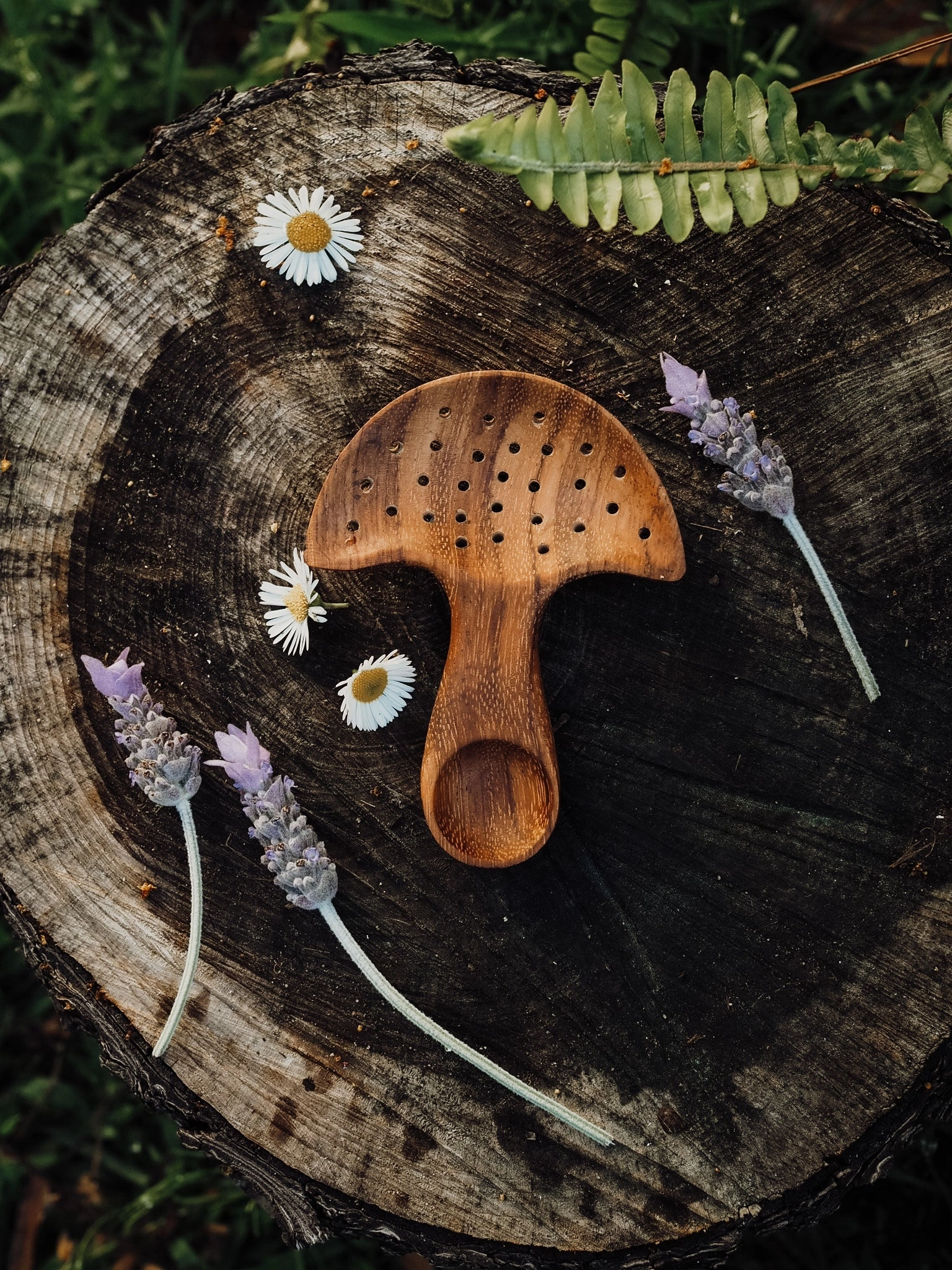 Pre-Order Wild Mountain Child Mushroom Multi Tool (Ships at the end of June)