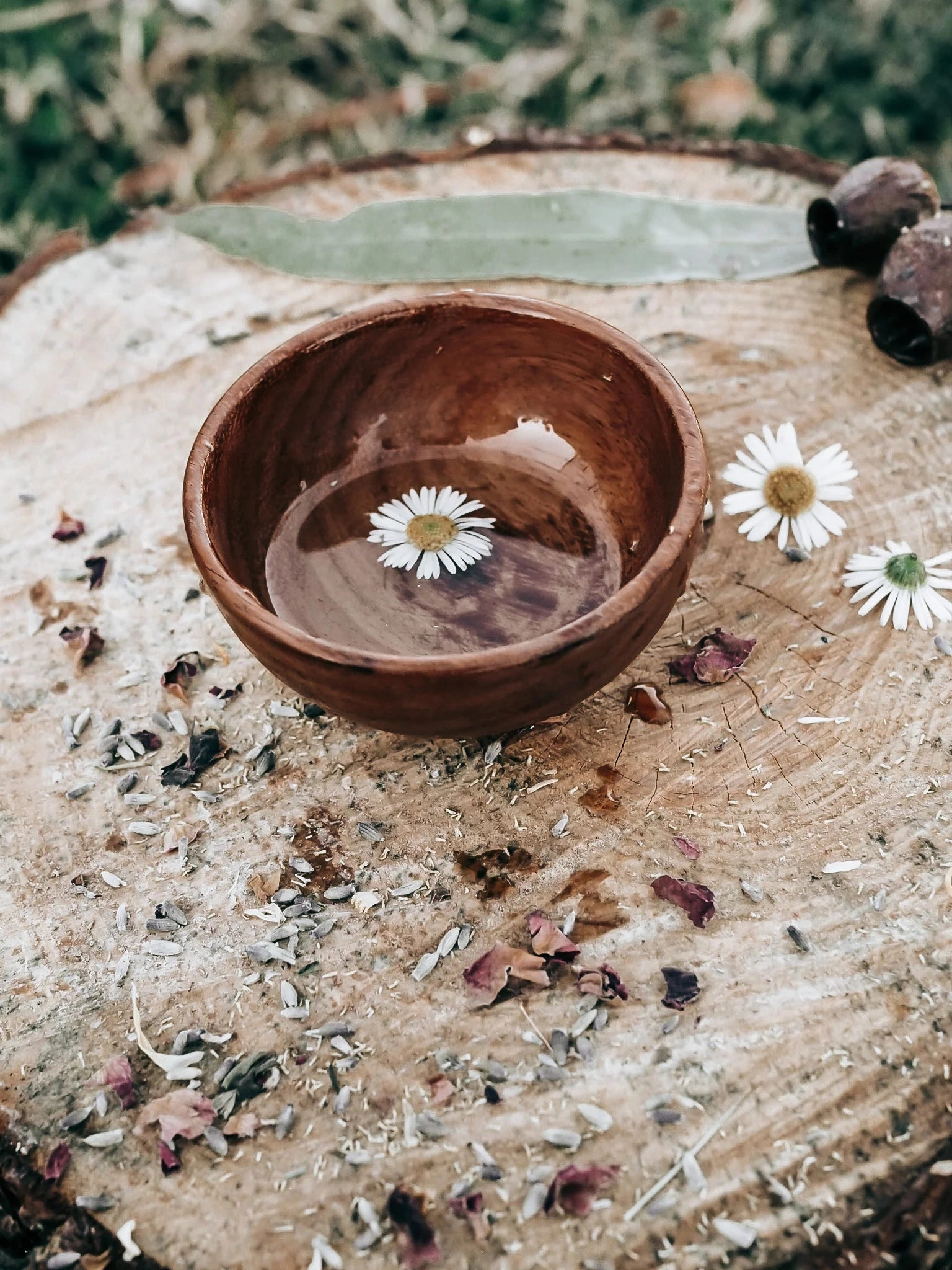 Pre-Order Wild Mountain Child Treasure Bowl (Ships in late June)