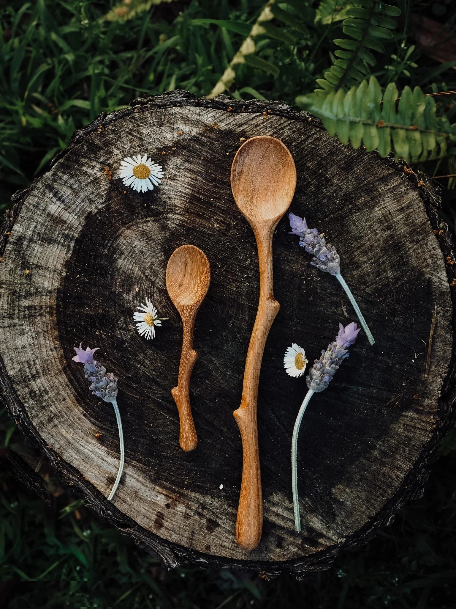 Pre-Order Wild Mountain Child Twiggy (Mini Twig Spoon) (Ships in late June)