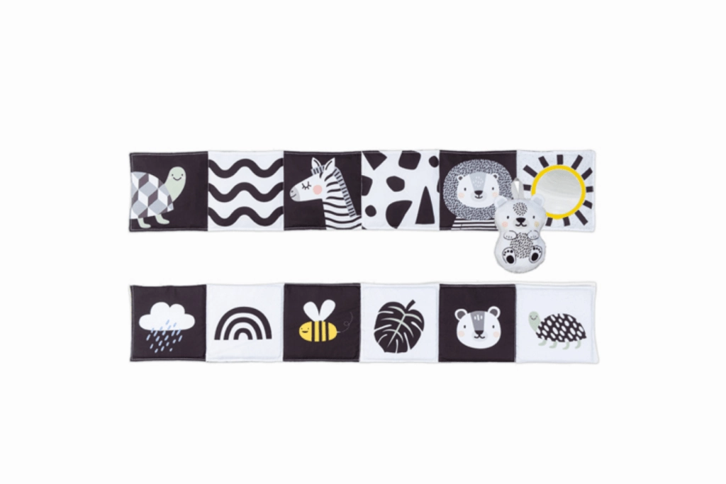 Savannah Black & White Book