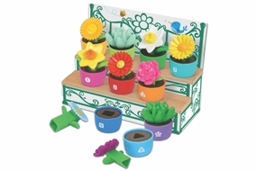 Shape & Colour Garden