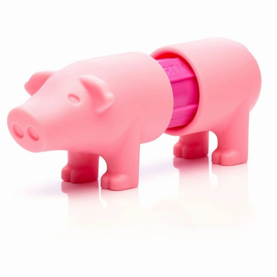 SmartMax Magnetic Discovery - My First Farm Animals