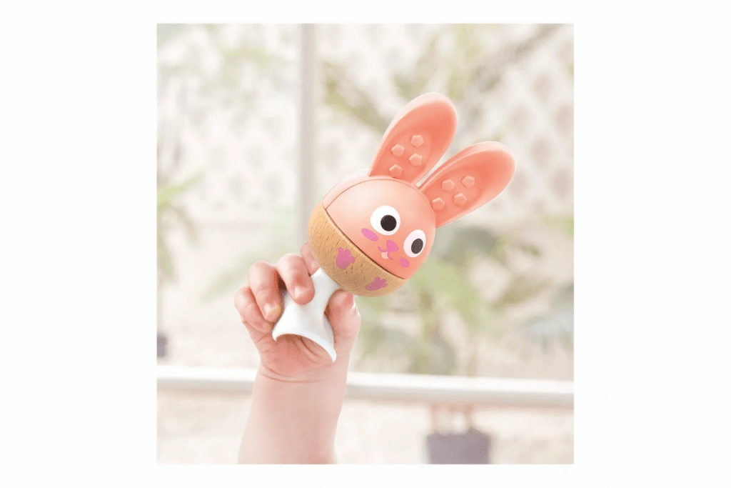 Suction Cup Rattle and Teether Set