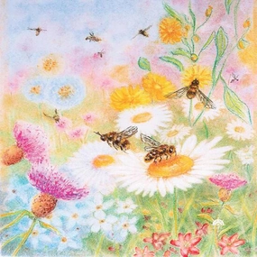 Toverlux Kapitein Kalk Silhouette, Bee Pastures