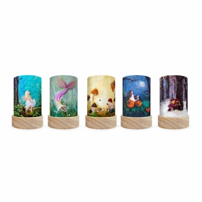 Toverlux Lantern Shades, Het Wol Feetje Shade Set 4, Seasons, Set of 5