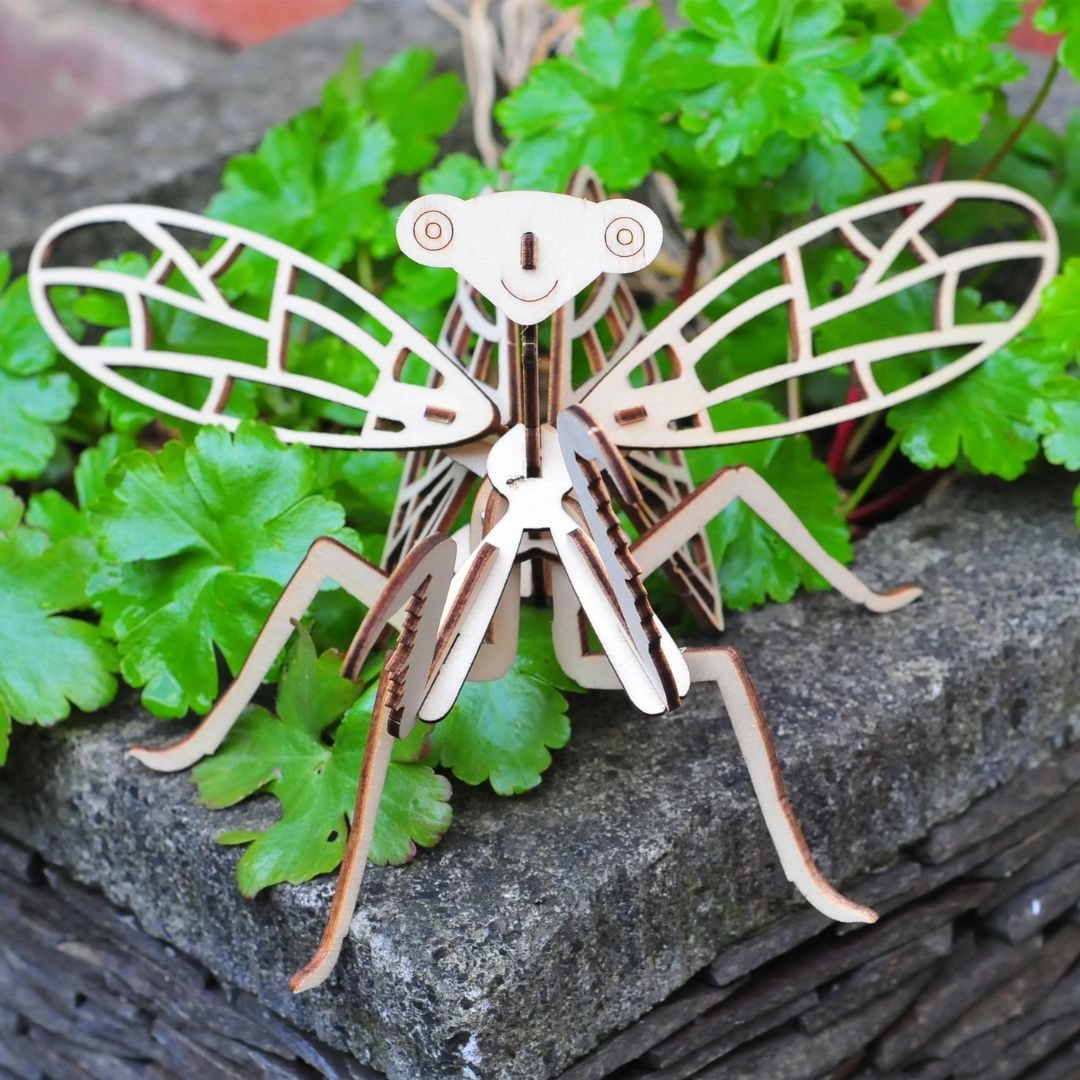 Wooden Build A Bug Kit