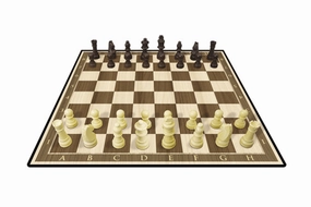 Wooden Chess Set