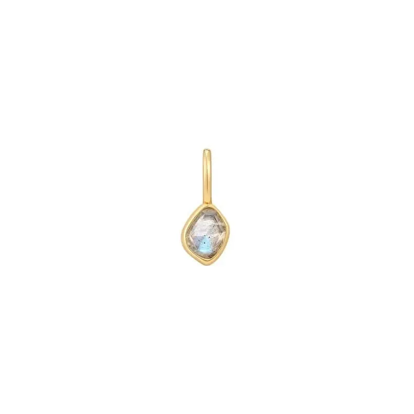 Charme en Labradorite Dorée Ania Haie NC048-11G Bijoux Ania Haie