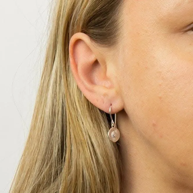 Boucles d'oreilles à goutte en disque taille diamant avec zirconium E6004C Beginnings Jewellery