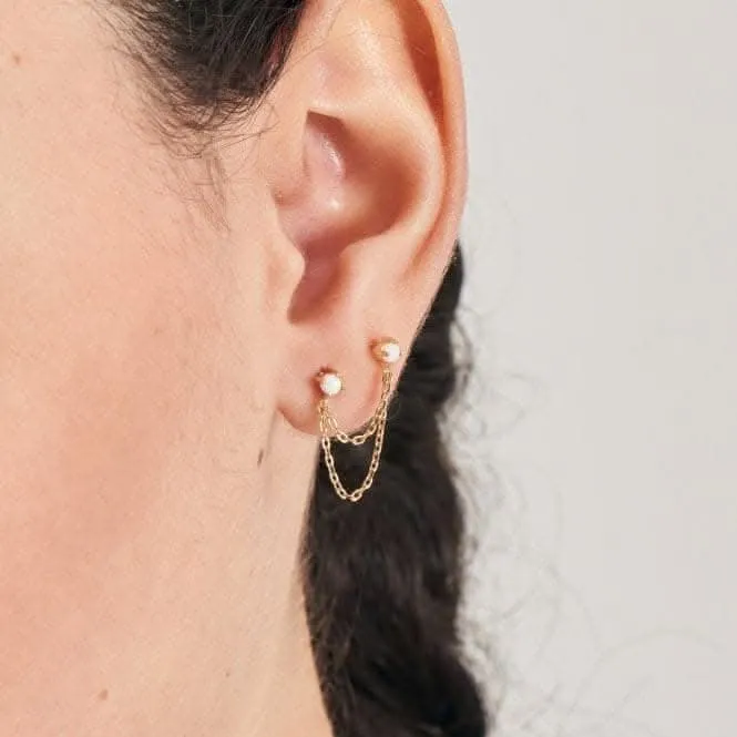 Boucle d'oreille barbell à chaîne goutte Opal Gold Kyoto E047-06G Ania Haie Jewellery