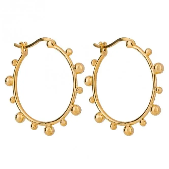 Boucles d'oreilles en or à anneaux avec perles E6248 - Débuts de bijoux