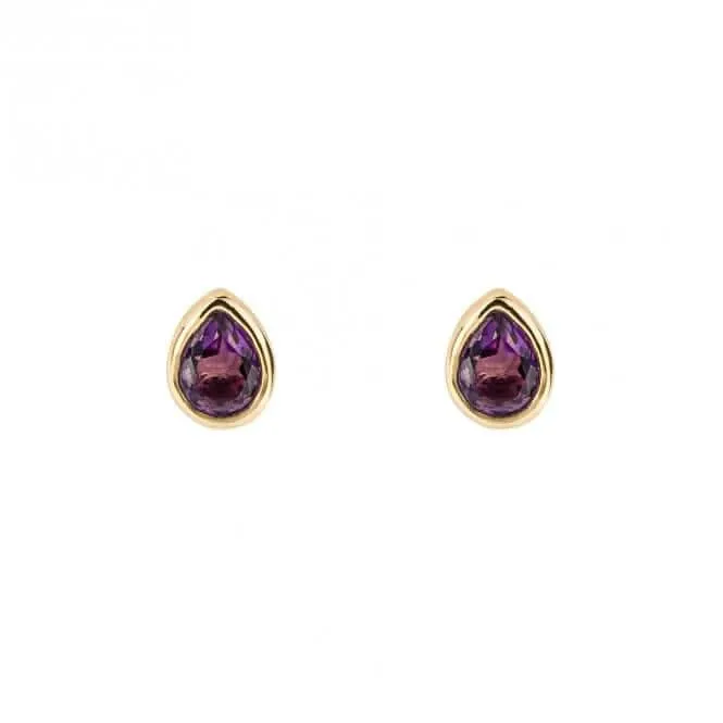 Boucles d'oreilles en améthyste de février plaquées or E6203 - Débuts de bijoux