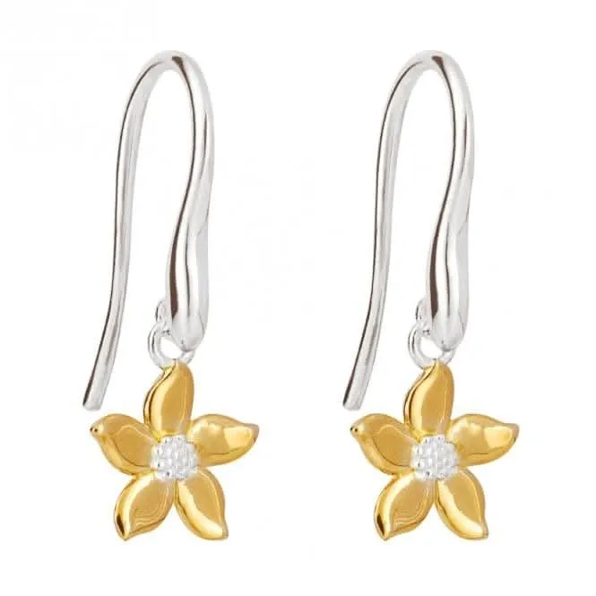 Boucles d'oreilles pendantes en jasmin plaqué or E6265 - Bijoux Beginnings