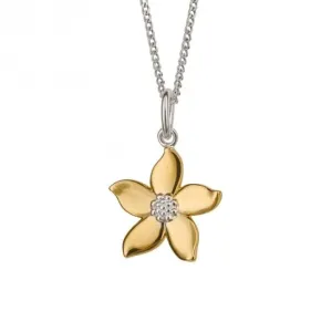 Pendentif Jasmin Plaqué Or P5242 Bijoux Beginnings