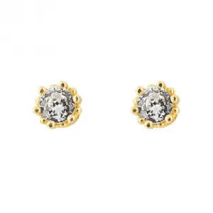 Boucles d'oreilles à clous en zircone plaqué or E6272C Beginnings Jewellery