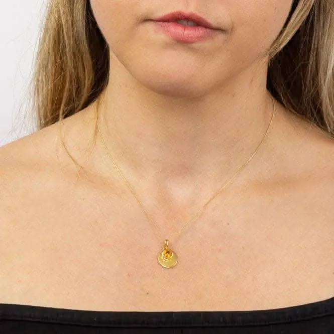 Collier Swarovski P5018 Débuts Bijoux avec Disque Gravable en Or Jaune et Pierre de Naissance de Novembre