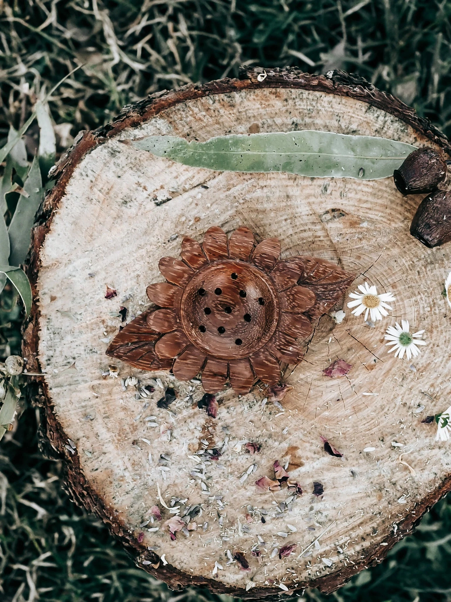 Pre-Order Wild Mountain Child Daisy Strainer (Ships in late June)