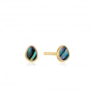Boucles d'oreilles à clous Abalone Doré Brillant Marée E027-04G Ania Haie Jewellery